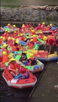 KANO模型，一个能解决你工作中90%烦恼的需求分析神器