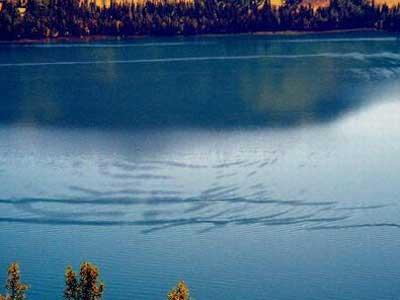 喀拉斯湖水怪秘密：原因是大红鱼吗？