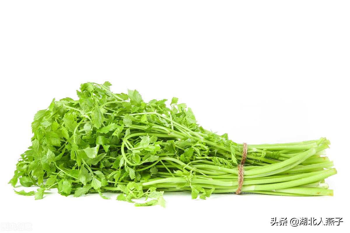 农村能吃的野菜100种大全(教你认识100种野菜和吃法)