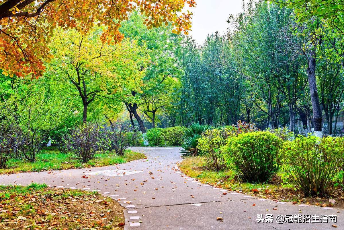 成都卫校有哪些卫校口碑较好-好就业的卫校专业有哪些？