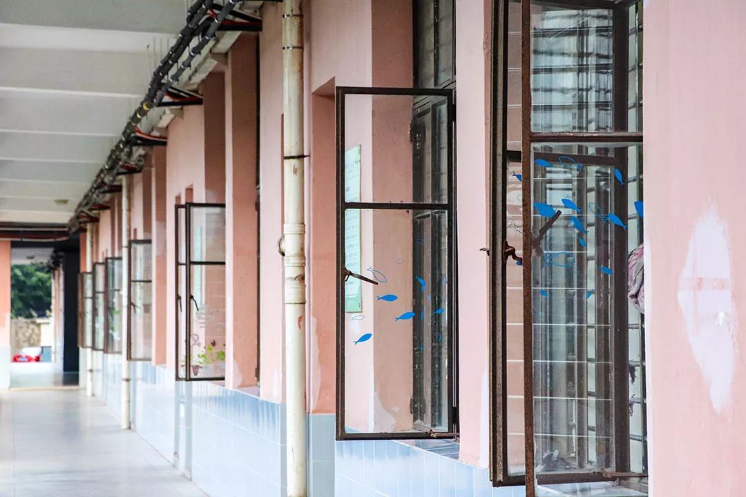 愿你出走半生，归来仍是少年