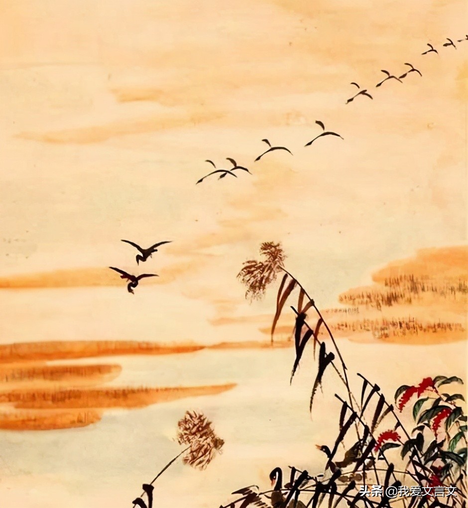 经典文言文赏析 | 泽人网雁