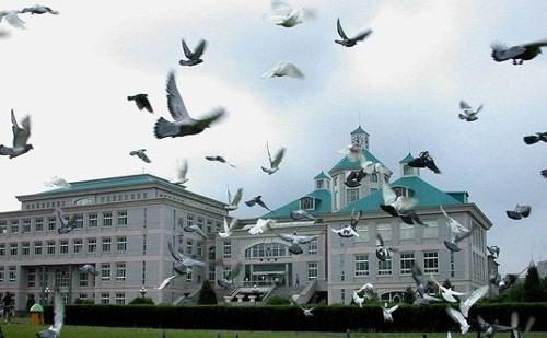 这两所大学、490—550分左右可录取，性价比很高！值得报考