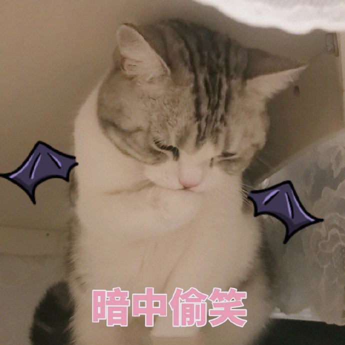 表情包：猫猫怂怂