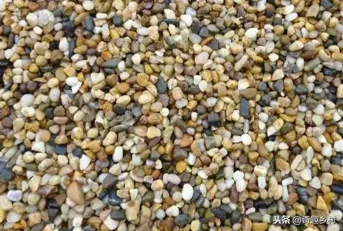 院子里应该有个小池塘，没有就自己动手挖个！（附实际操作图）