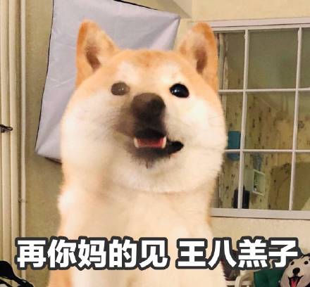 呆萌柴犬表情包：下面听我说，我们都是狗