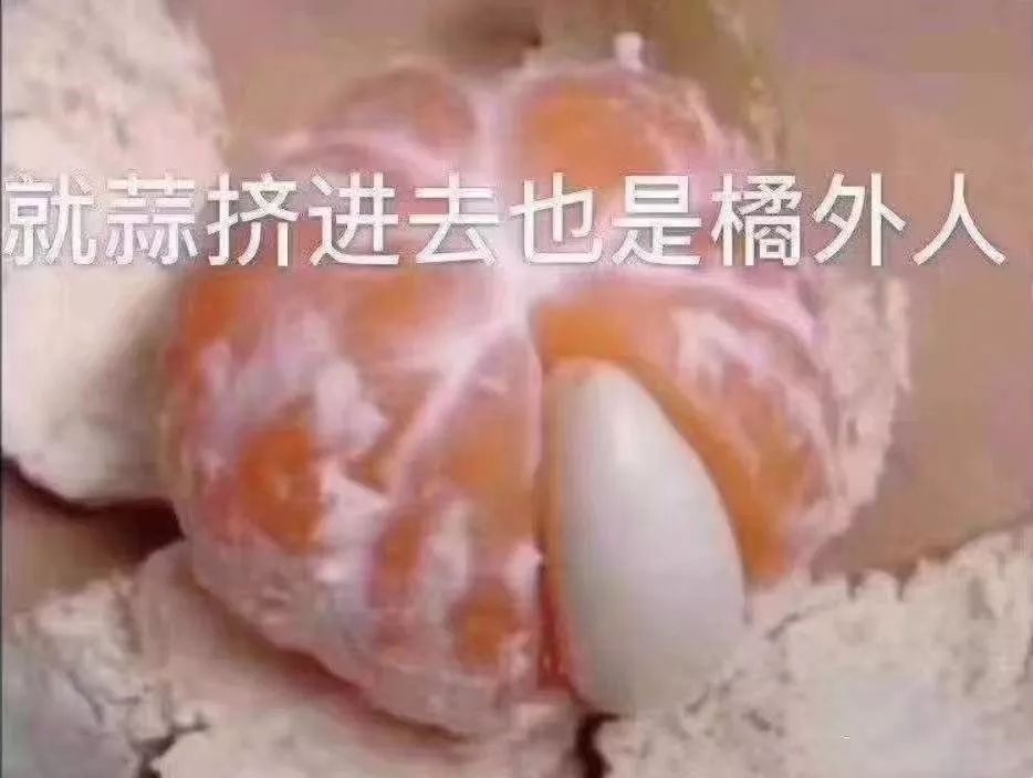 表情包：这就是你的归宿