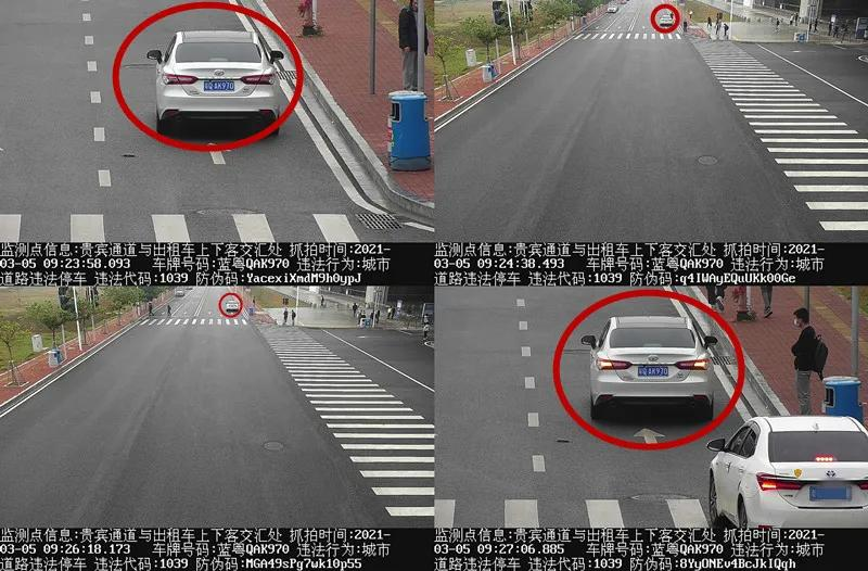 交通违法曝光！