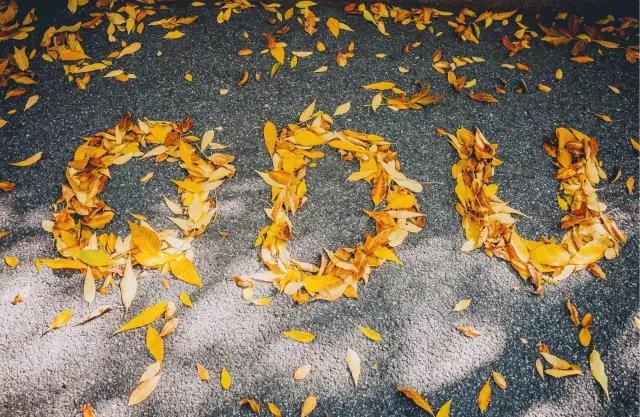 高清曝光！坐拥神仙颜值，山东最美“校花”就在这所大学里！