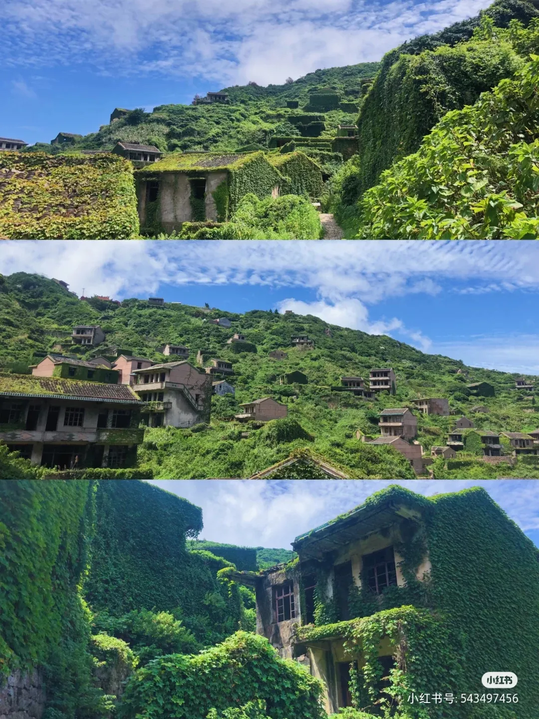 枸杞岛旅游攻略(枸杞岛旅游攻略自驾) 枸杞岛旅游攻略(枸杞岛旅游攻略自驾)