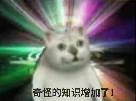 憨憨猫表情包合集