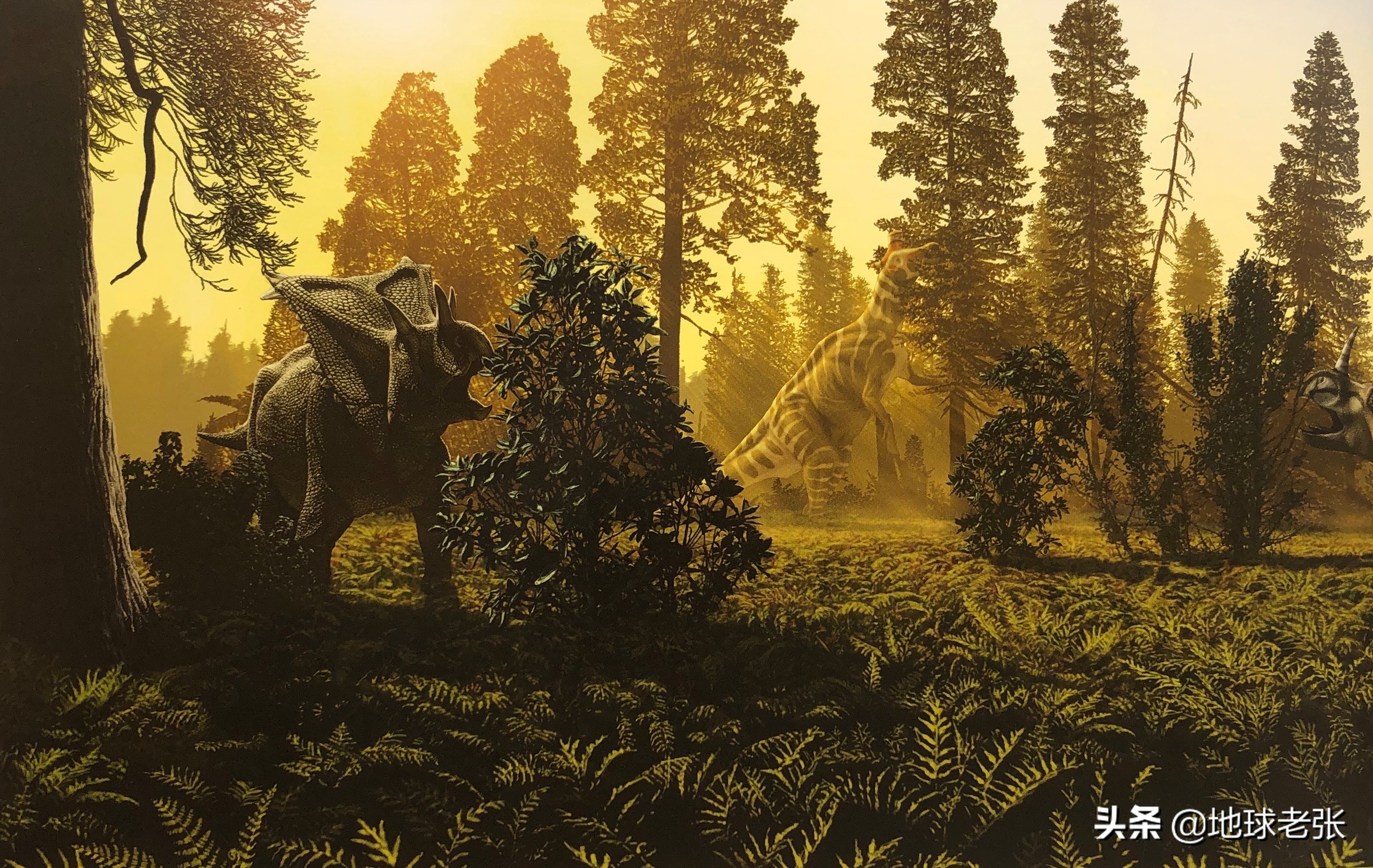 开角龙图片(晚白垩世的鸟臀目角龙科恐龙,开角龙)