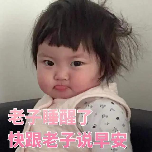 表情包：看到这两个巴掌了吗？