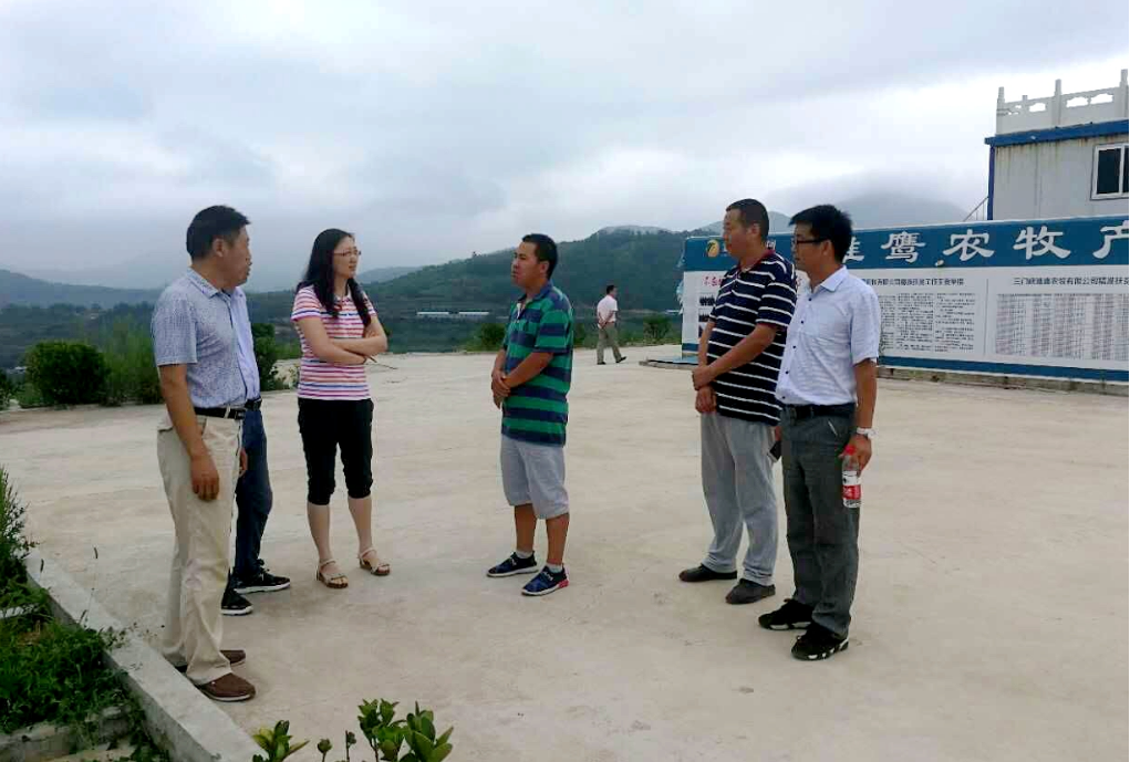 饿死200万头猪？“养猪第一股”倒了，亏损30亿靠破产公司续命