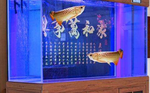 公司乔迁之喜送什么礼物（客户公司乔迁送什么礼物好）
