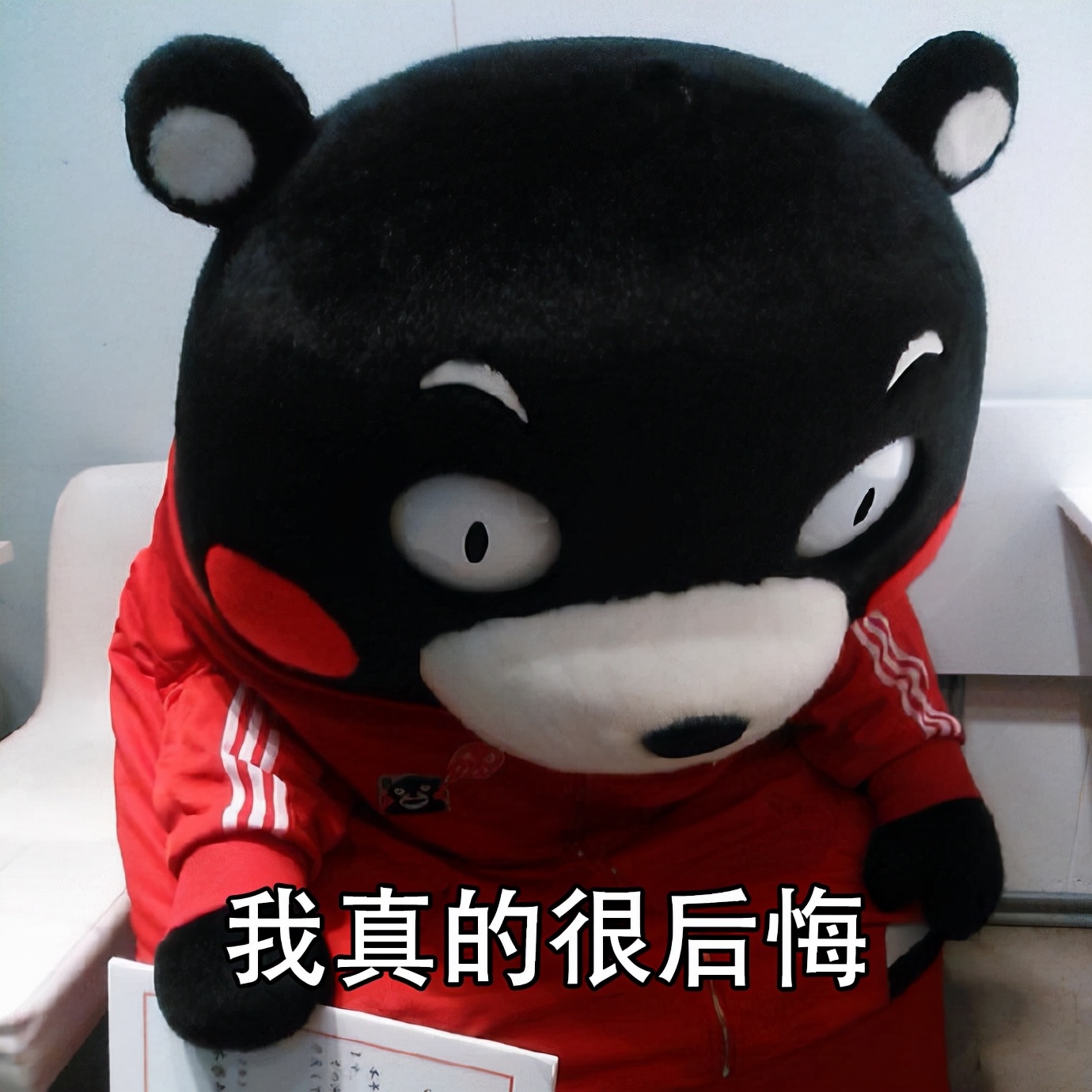 如果再选一次专业，你会选择什么？选择计算机的人最多？