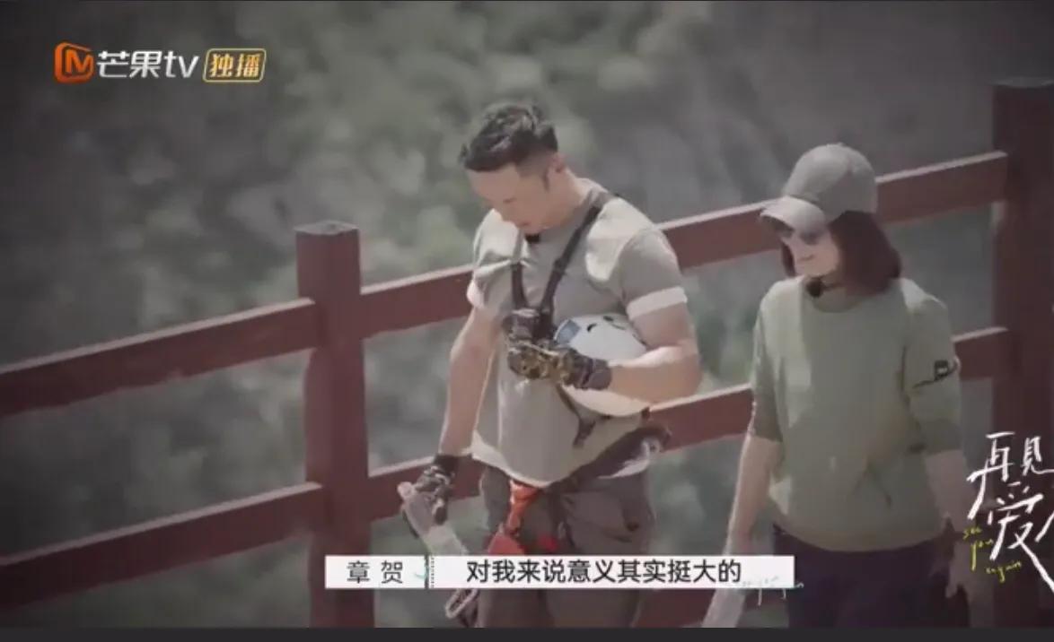再见爱人：夫妻间最决绝的话，很抱歉，我从来没有爱过你