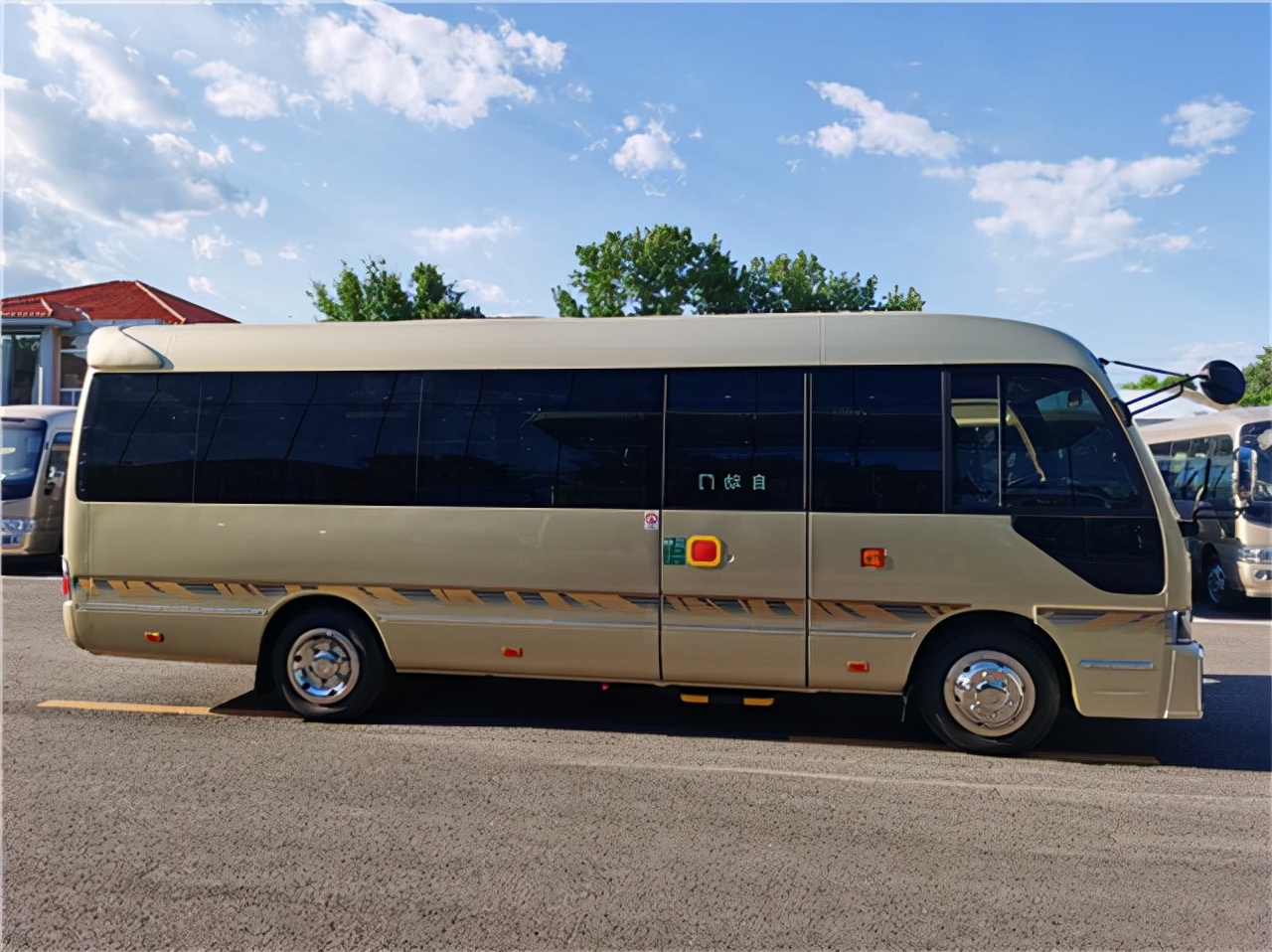 m驾照能开什么车图片(想要大车小车都能开) - 赤虎壹号