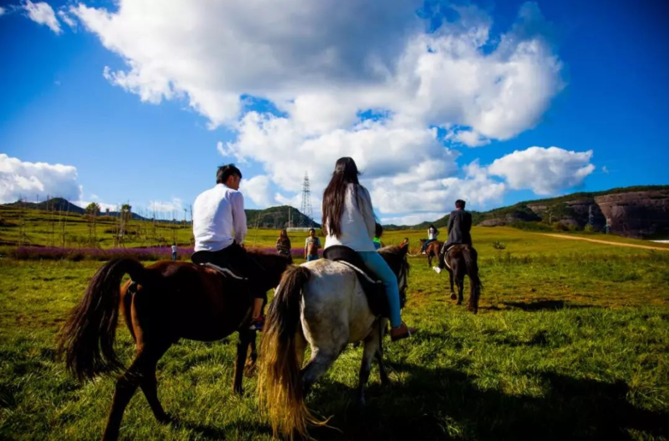 高考“查分时间表”出炉，多地开始阅卷工作，考生记得收藏