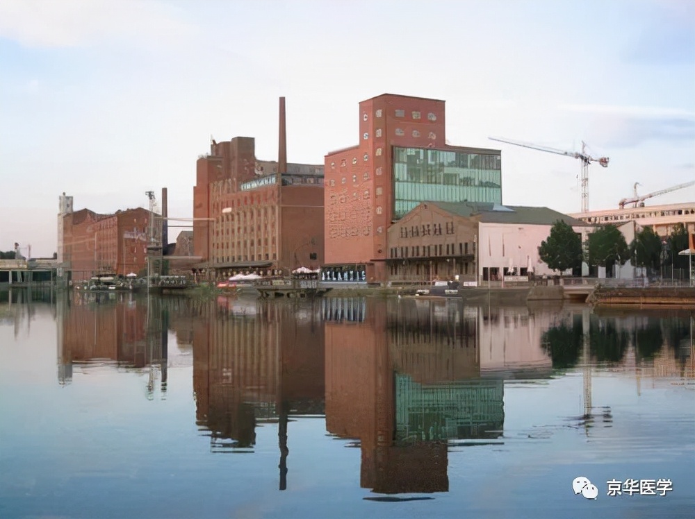 功夫不负有心人，终圆梦德国著名大学