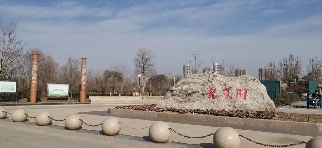 2020年武清泗村店如何发展？一大波好消息赶来