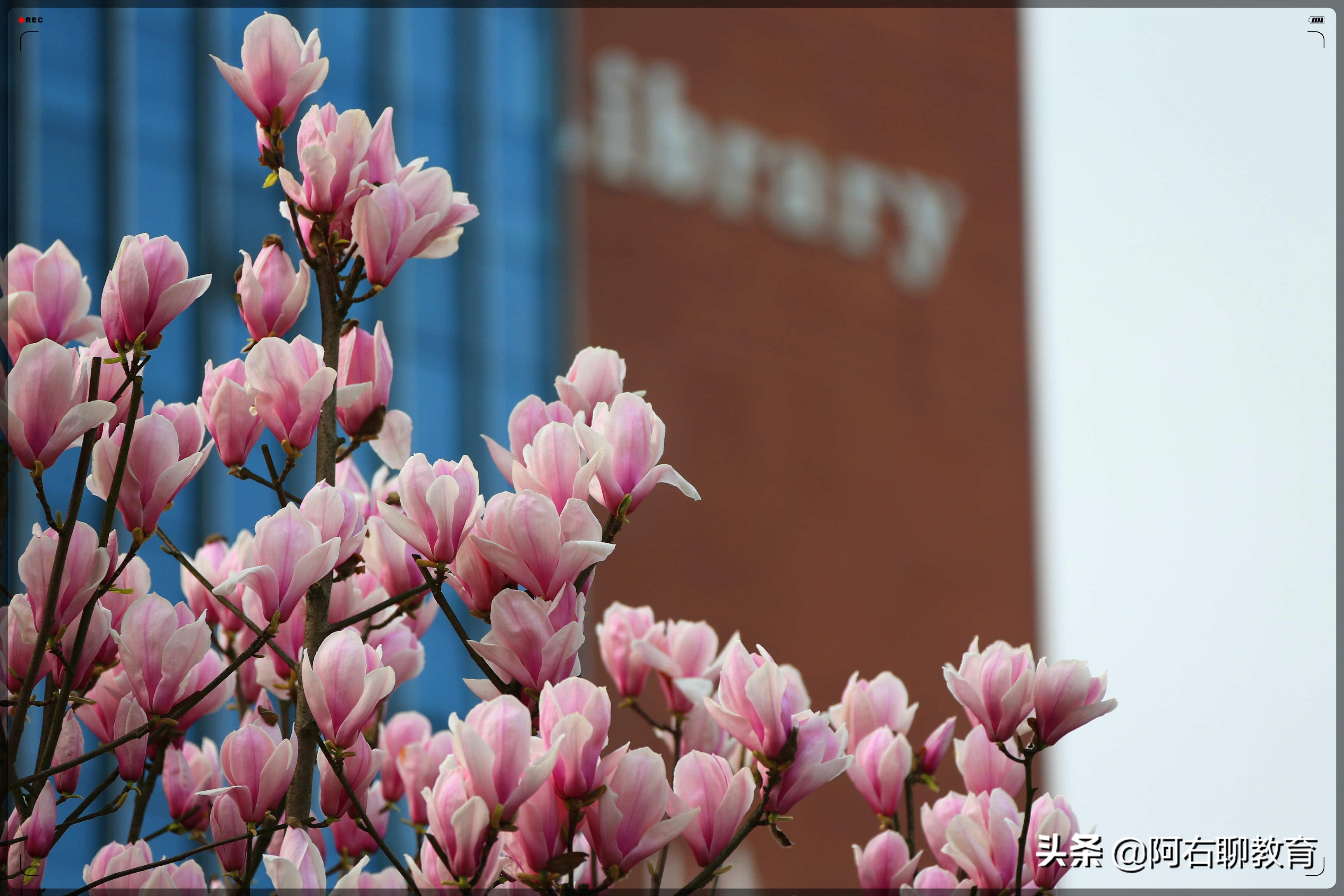 贵州遵义公办高校大盘点，2所本科，3所专科