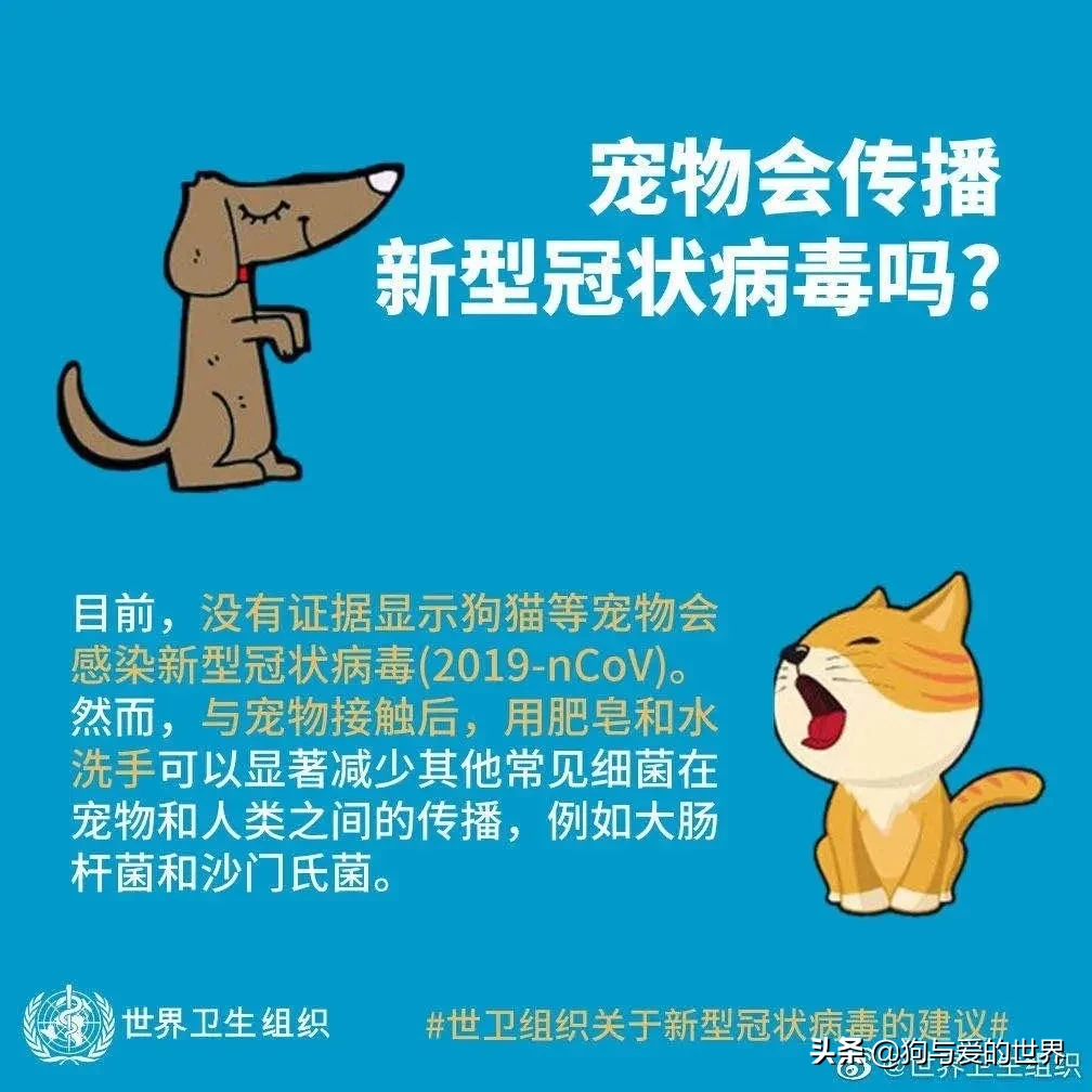 香港一确诊病例家的狗测试呈阳性，但不必慌，注意这几点