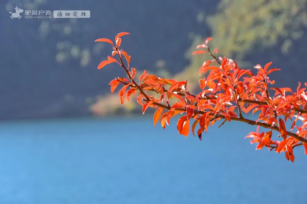 醉美泸沽湖，藏在冬日里！水天一色，海鸥翱翔，治愈的风光