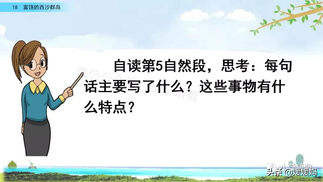 部编版三年级上册语文第18课《富饶的西沙群岛》课件及同步练习