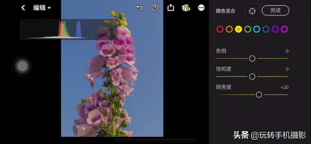 拍花后期！调色用对了，就很有春天的感觉