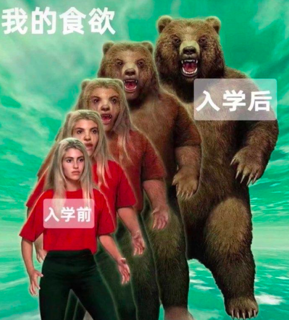 当代大学生“进化史”，从大一到大四逐层蜕变，网友笑呼真实