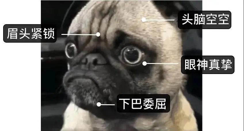 当代大学生的小组作业到底有多难？