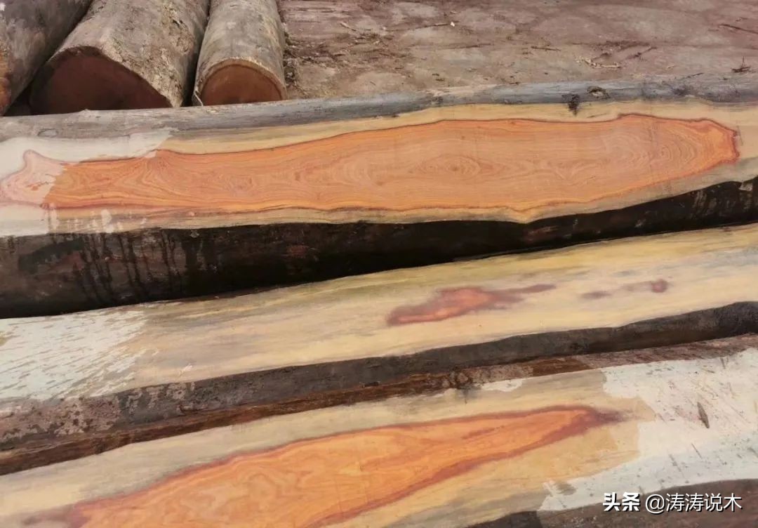 非洲名贵木材—大叶红檀 最佳入手时机