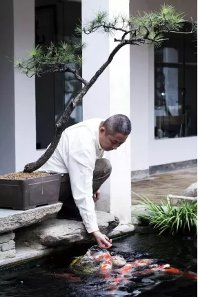 名窑说 | 赏瓷观窑,景德镇茶器的最高水平?