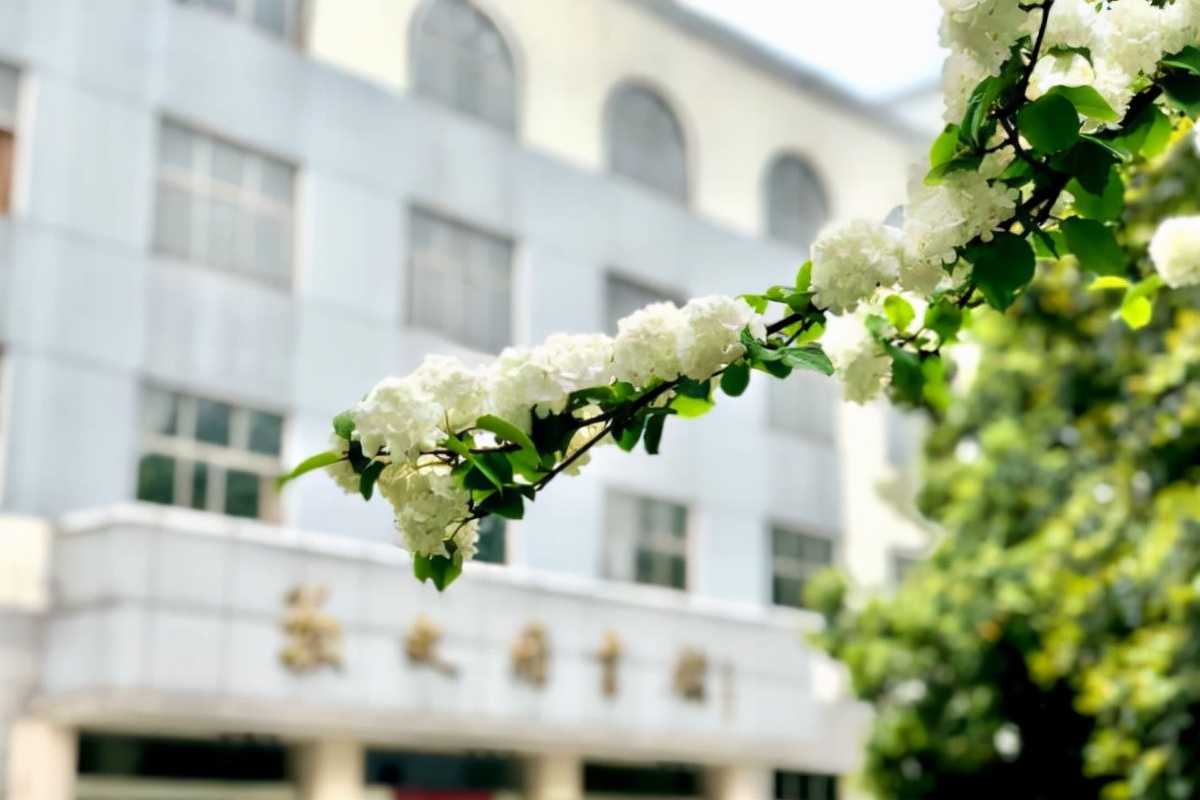 江苏传来“好消息”！“新大学”将落户扬州，就业率高达98%