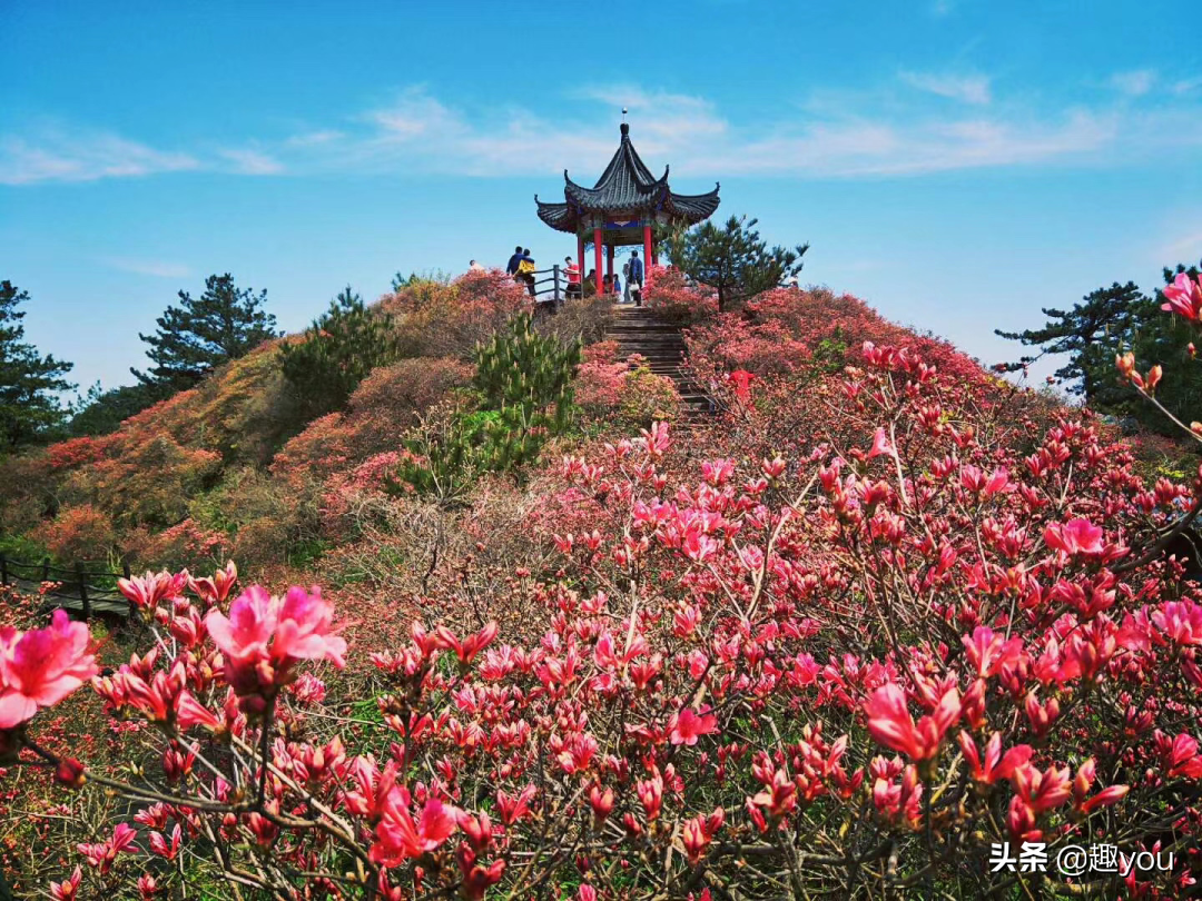 清明节为什么是阳历（清明，为什么是按阳历过的？）