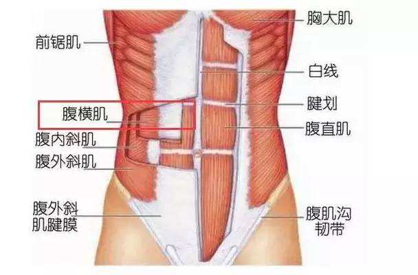 产后修复，要“从内向外”不能急于一时，修复身体不等于修复身材