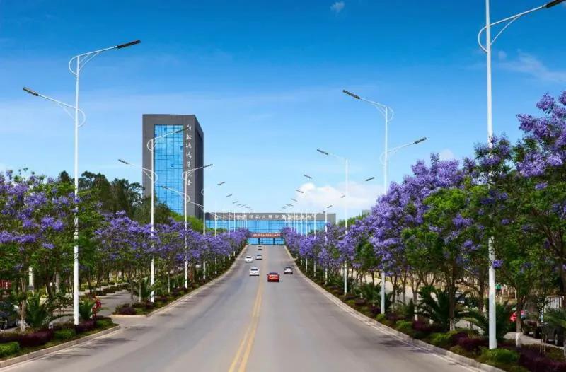 毕业季，这所高职学校毕业生脸上看不到焦虑