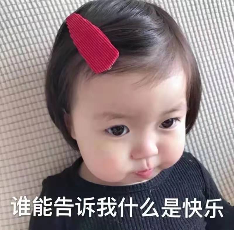 表情包：快乐是哪个小饼干？