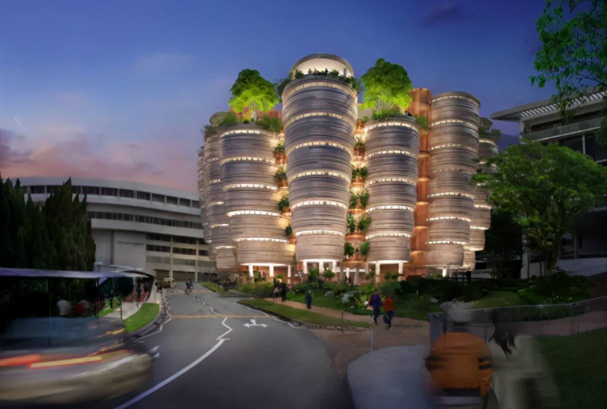 国际大学排名（2022）