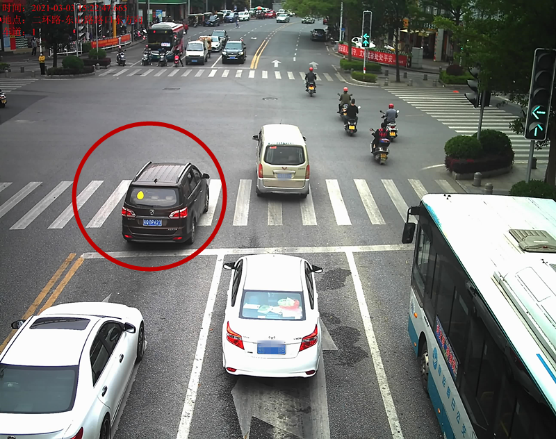 交通违法曝光！