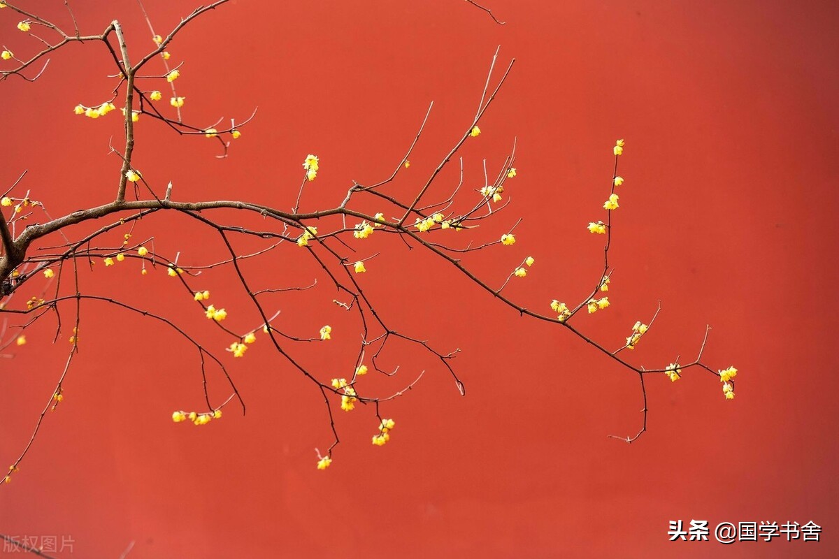 《菜根谭》：不要仅凭自己的偏见，就给事物妄下定论