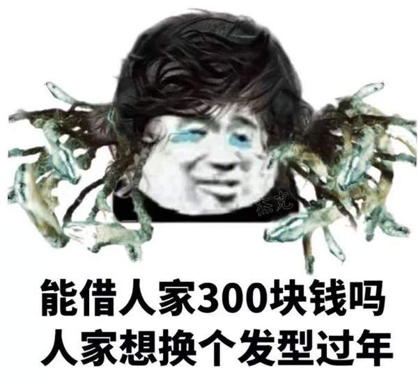 大包小包回家过年的表情包