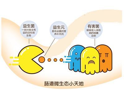 “万能药”益生菌大火，什么是益生菌？专家：益生菌更适合这些人