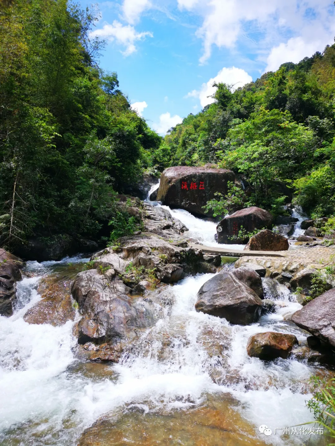 广州市从化旅游景点大全排名（广东十大最美森林旅游地）