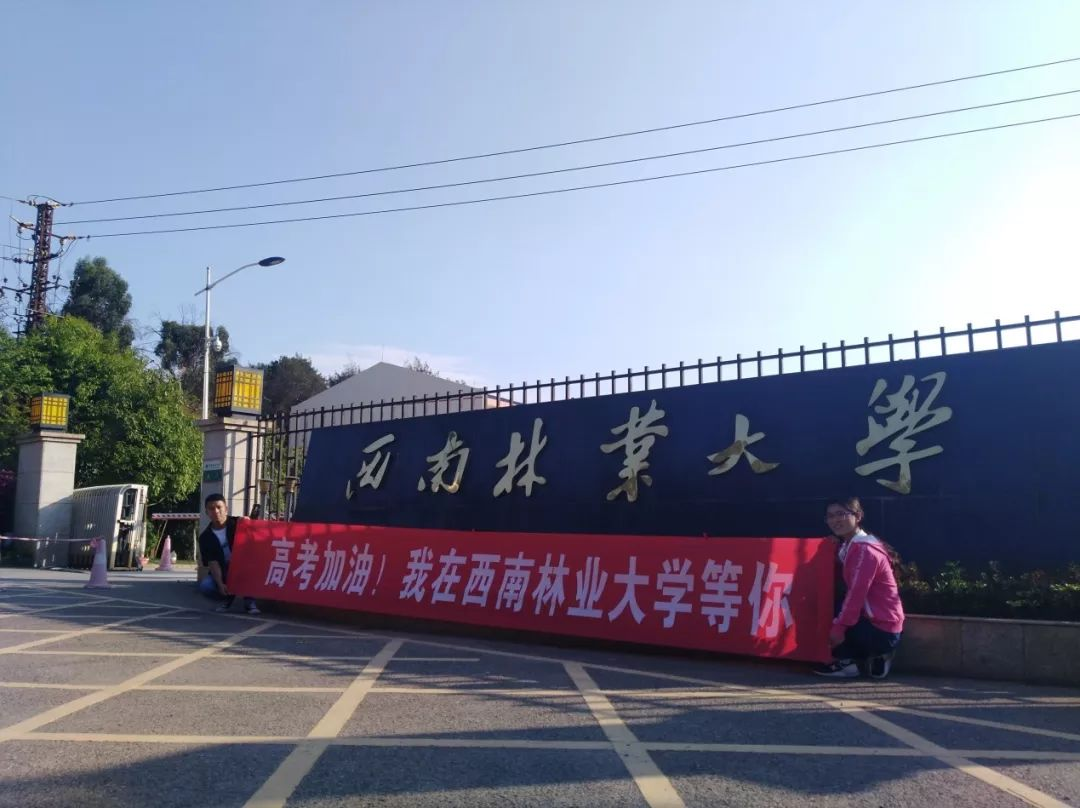 北京林业大学为林业大学翘楚，南林第二，东北林大降至第三