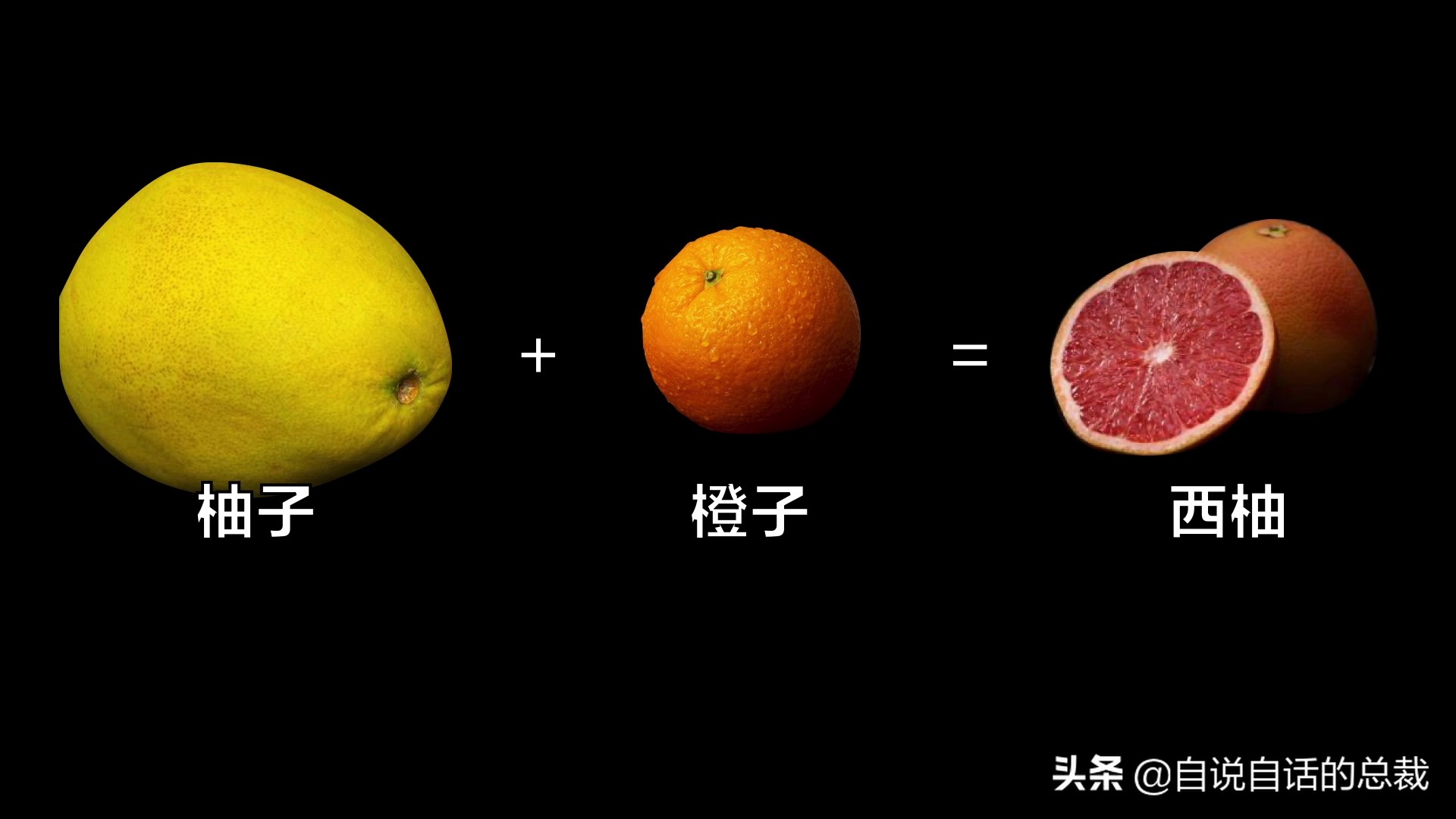 全世界的柠檬都读Lemon？这背后有一个刻在8号染色体上的上古故事