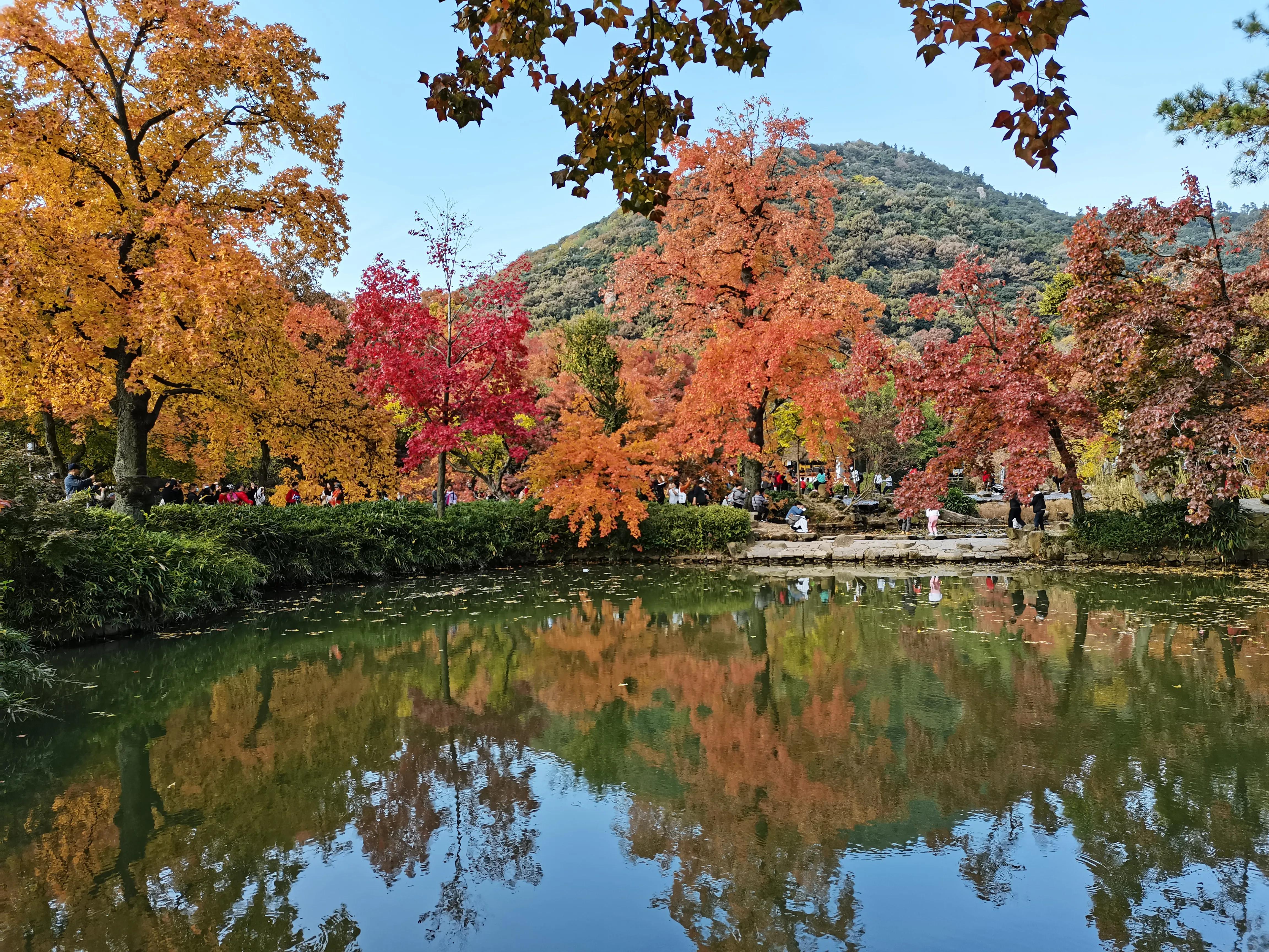 天平山下枫叶红---也说范仲淹在苏州的历史地位