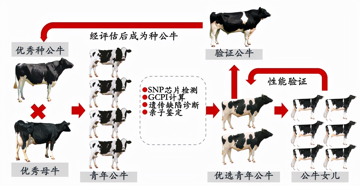 从被制约到领先国际，这所“国字号”大学创下多个“首次”，打破国外垄断！