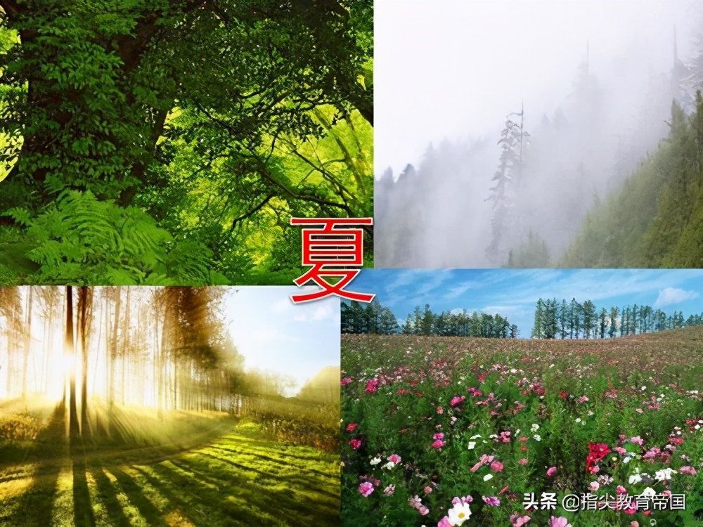 三年级《美丽的小兴安岭》考点太经典，提高阅读能力，先学好这篇